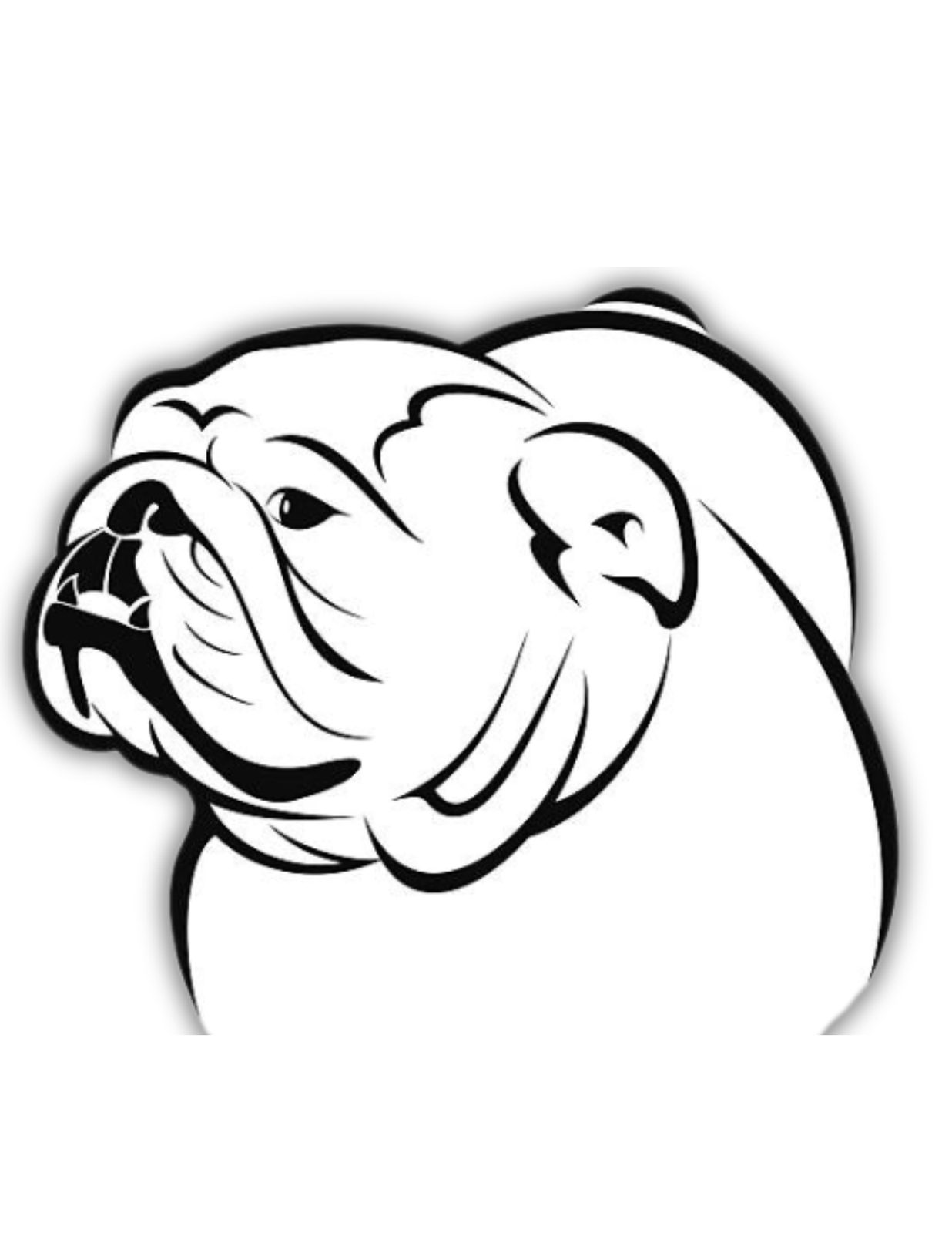 A bulldog in the care of Beauties of the Beasts' Bunch a Bull Bulldog Rescue program