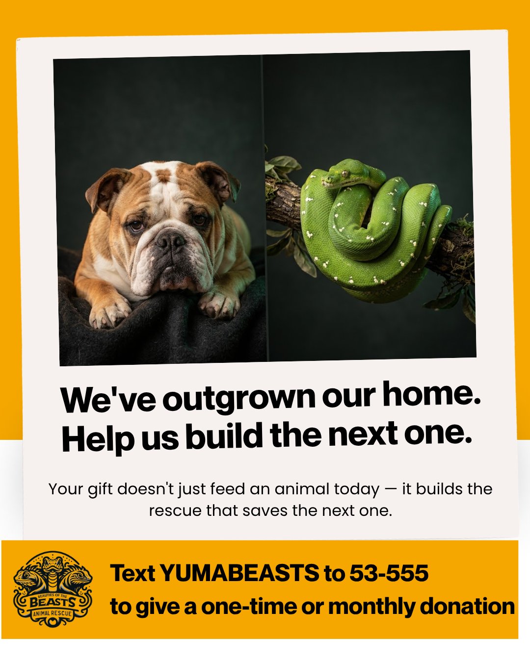 Text YUMABEASTS to 53-555 to give a one-time or monthly donation to Beauties of the Beasts